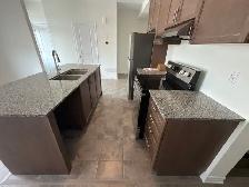 1 BEDROOM WALKOUT BASEMENT - Photo 8