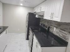 1 bed 1 bath basement for rent - Photo 2