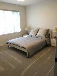 Hiring: fulltime house cleaner that drives - Photo 2