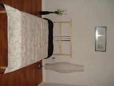 Clean, Spacious Room for Rent – Available October 1 - Photo 6