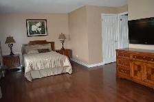 Large Furnished Master Bedroom with Private Bathroom - Orleans - Photo 2