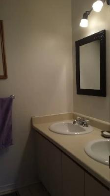 Large Furnished Master Bedroom with Private Bathroom - Orleans - Photo 5