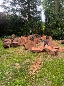 Dry Black Cherrywood Firewood ..Rare - Photo 3