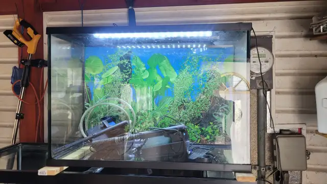 Fish tank 30 gallon