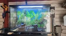 Fish tank 30 gallon
