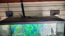 Fish tank 30 gallon - Photo 2