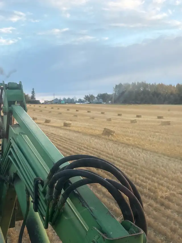 Square wheat straw bales