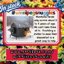 insulated stray/feral pet house