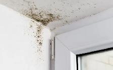Vermiculite , Insulation , Mold Removal   Attic Cleaning - Photo 7
