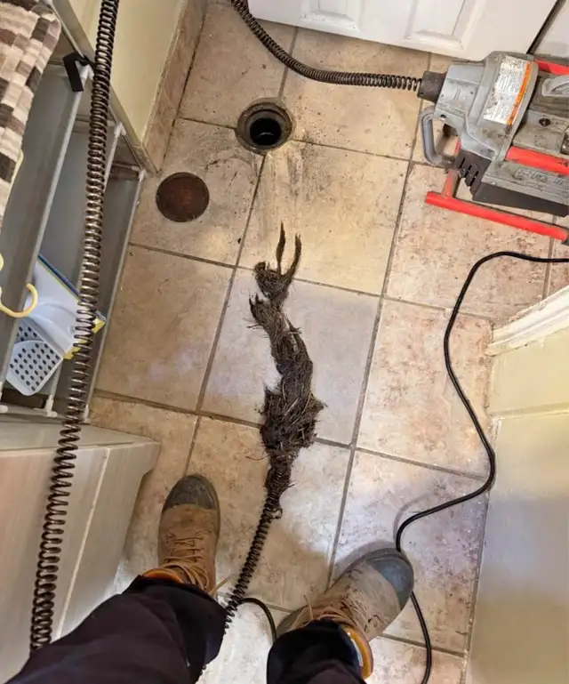 Drain cleaning/snaking