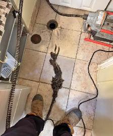 Drain cleaning/snaking