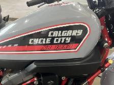 2009 Harley-Davidson XR 1450 - Photo 20