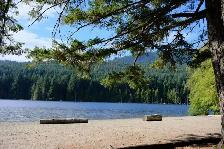 Nanaimo- 2 Bedrooms Ground Suite for Rent - Photo 4