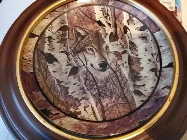 Absolutely stunning, beautiful collector framed wolf plates