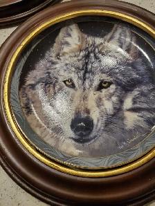 Absolutely stunning, beautiful collector framed wolf plates - Photo 5