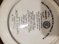 Absolutely stunning, beautiful collector framed wolf plates - Photo 8