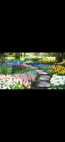 Gardener Wanted!