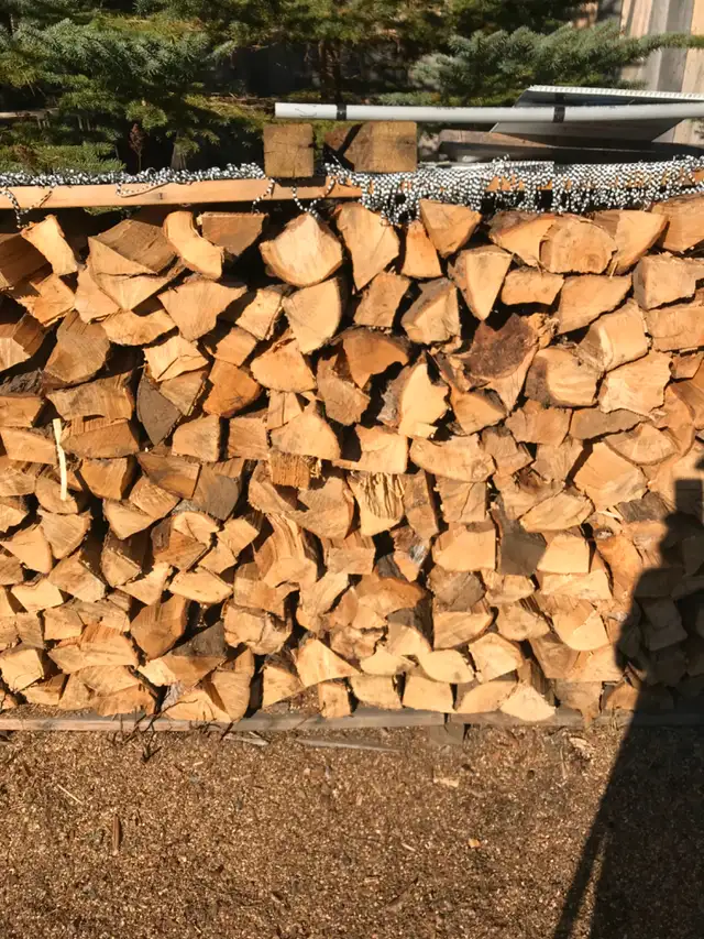 Firewood