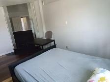 1 chambre à louer à Brossard(Dix30) - Photo 3