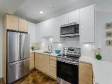 Sweet little Basement Suite!! - Photo 5