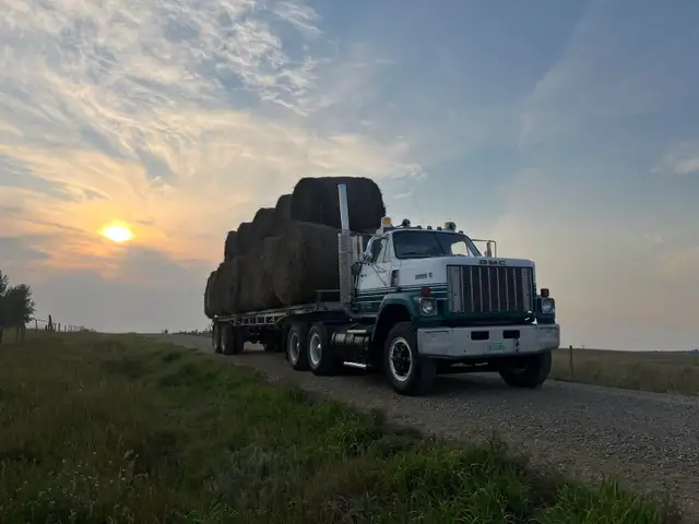 bales for sale