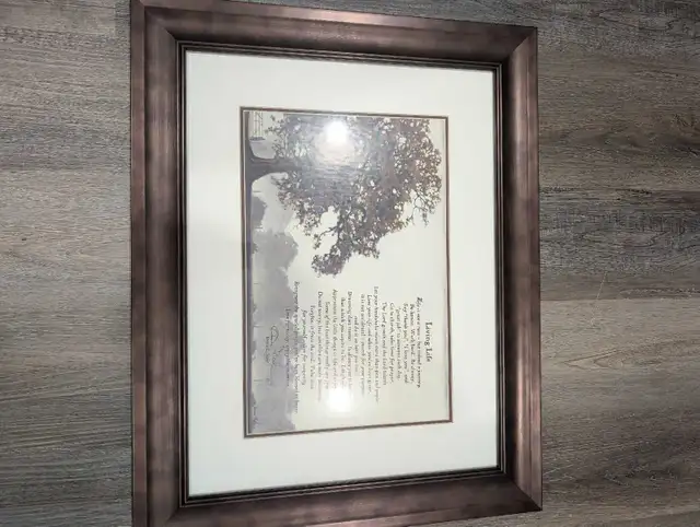Bonnie L. Mohr Living Life Framed Print