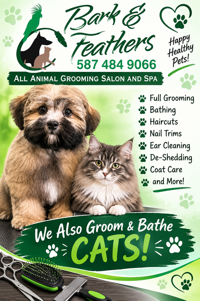 Dog and Cat grooming appts in Innisfail AB
