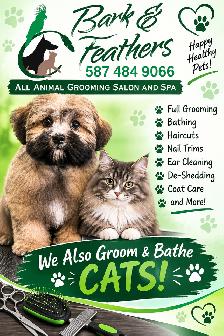 Dog and Cat grooming appts in Innisfail AB