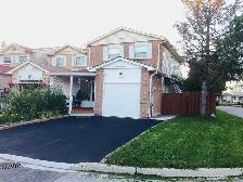 1 BEDROOM AVAILABLE FOR RENT HUMBER COLLEGE AND FINCH - Photo 2