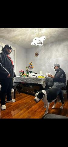DOGGY WALKER & CARE SERVICES - Photo 8