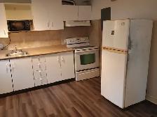 2½ Lumineux en Sous-Sol / bright 2 ½ Basement Apartment for rent - Photo 3