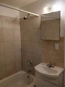 2½ Lumineux en Sous-Sol / bright 2 ½ Basement Apartment for rent - Photo 5