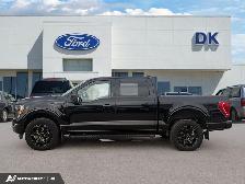 2022 Ford F-150 XLT 302A w/Black Pkg, Leather Interior, and More - Photo 3