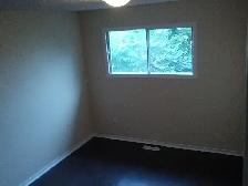 Rooms for Rent Humber College North- All Inclusive - Photo 4