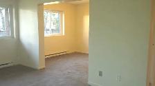 DECEMBER 1st - BACHELOR FOR $1299 - Photo 5