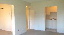 DECEMBER 1st - BACHELOR FOR $1299 - Photo 6