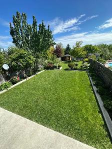 2 bedroom legal walkout basement for rent in brampton - Photo 10