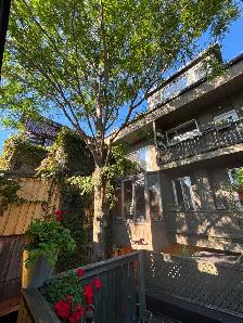 APPARTEMENT SUR LE PLATEAU DE MONTROYAL - Photo 2