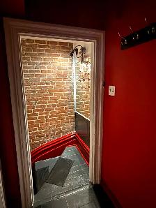 APPARTEMENT SUR LE PLATEAU DE MONTROYAL - Photo 10