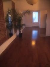 APPARTEMENT SUR LE PLATEAU DE MONTROYAL - Photo 13