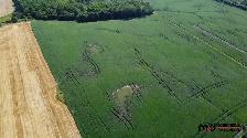 Real Estate Auction - 321 Acres w/ Home Parcel - Pine Falls, MB