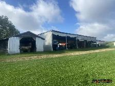 Real Estate Auction - 321 Acres w/ Home Parcel - Pine Falls, MB - Photo 2