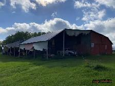 Real Estate Auction - 321 Acres w/ Home Parcel - Pine Falls, MB - Photo 5