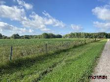 Real Estate Auction - 321 Acres w/ Home Parcel - Pine Falls, MB - Photo 9