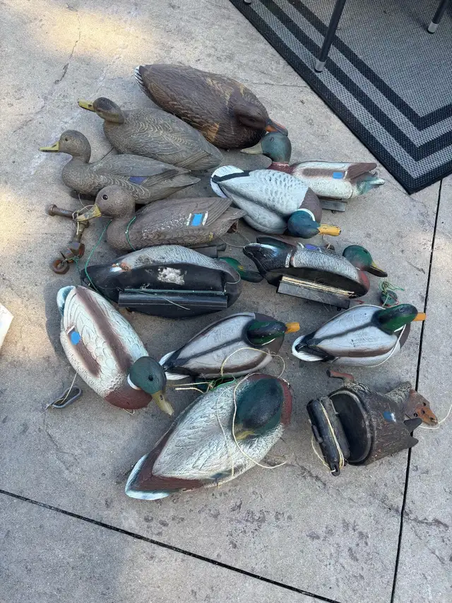 duck decoys