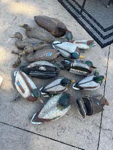 duck decoys
