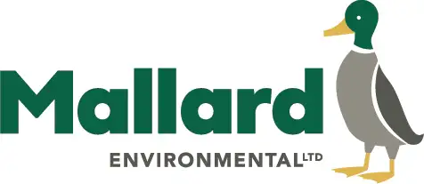 Wanted Immediately - Wash Bay Attendant
