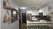 POLISH CLEANING AT YOUR SERVICE 647-444-0553 - Photo 6