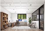 Embassy Suspended Ceiling