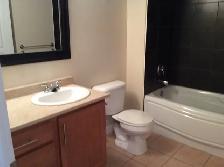 Spacious two bed one bath apartment for rent in Truro Decemb - Photo 6